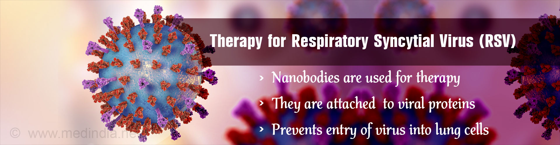 Nanobodies Found Effective in Respiratory Syncytial Virus