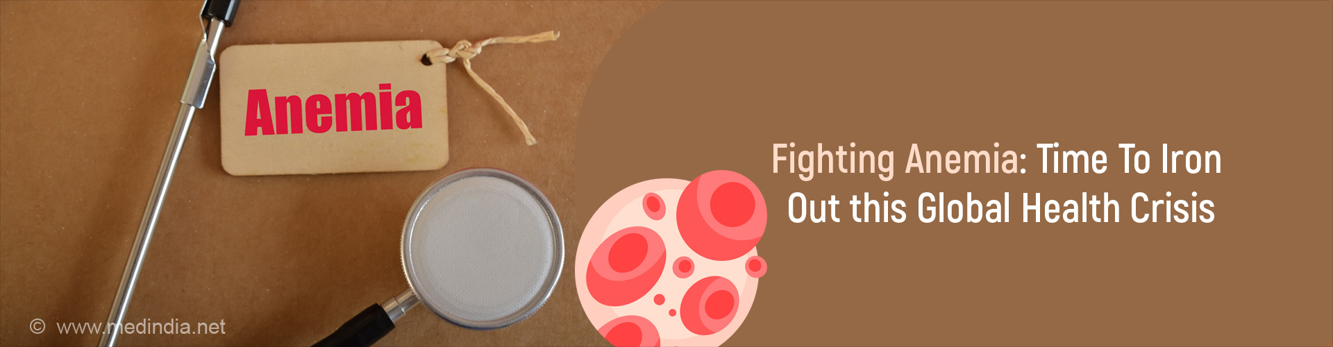 Global Impact of Anemia on Women and Children