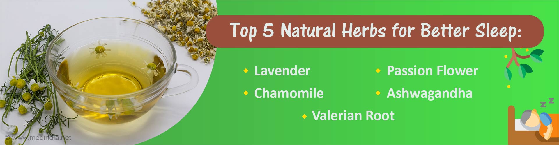 Top 5 Natural Herbs to Beat Insomnia