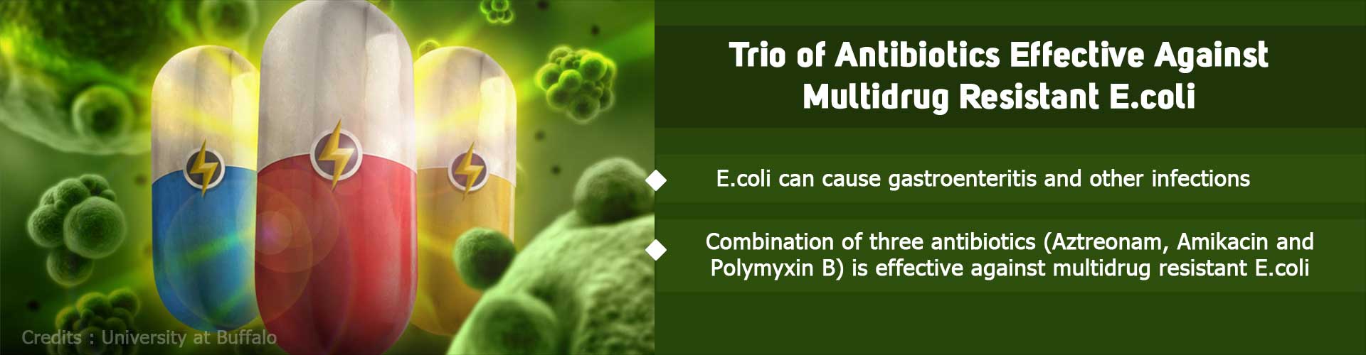 Multidrug Resistant E. Coli Succumbs to a Superteam of Antibiotics