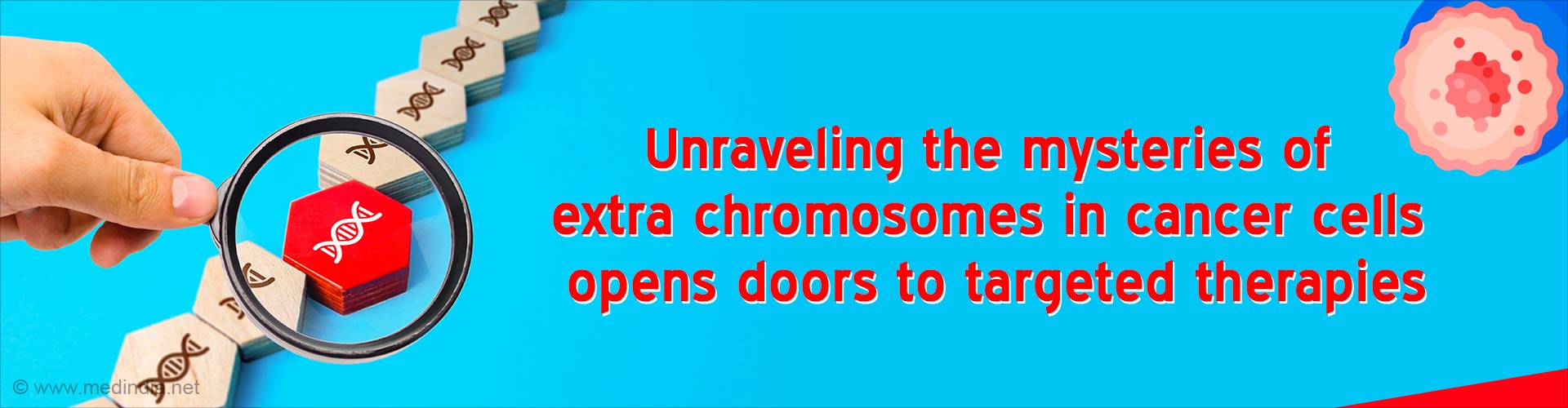 Power of Chromosomes: Targeting Aneuploidy for Cancer Therapy Power of Chromosomes: Targeting Aneuploidy for Cancer Therapy