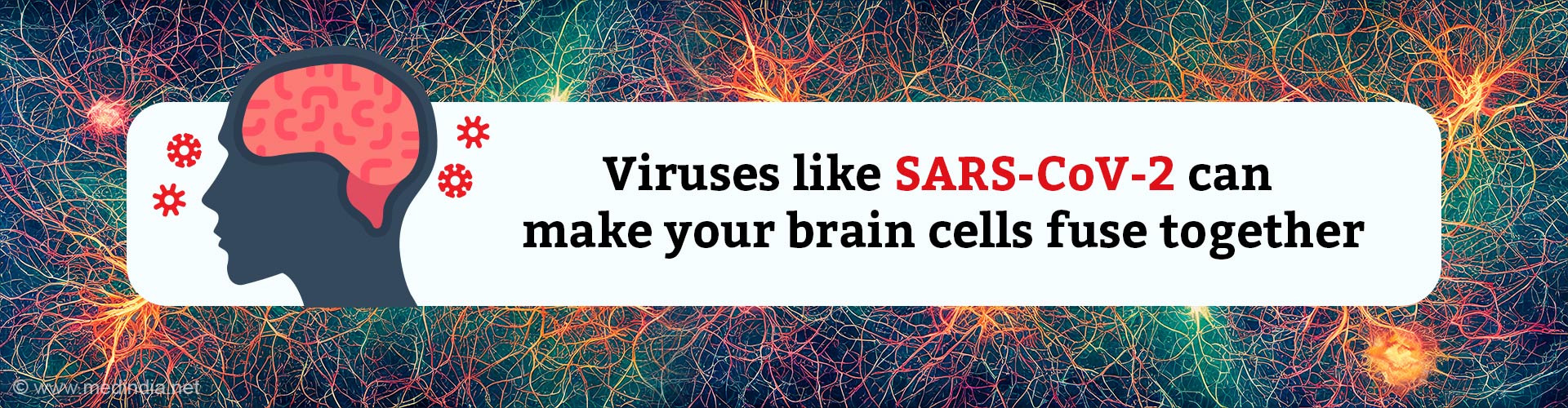 Can COVID-19 â€˜Fuseâ€™ Your Brain Cells?