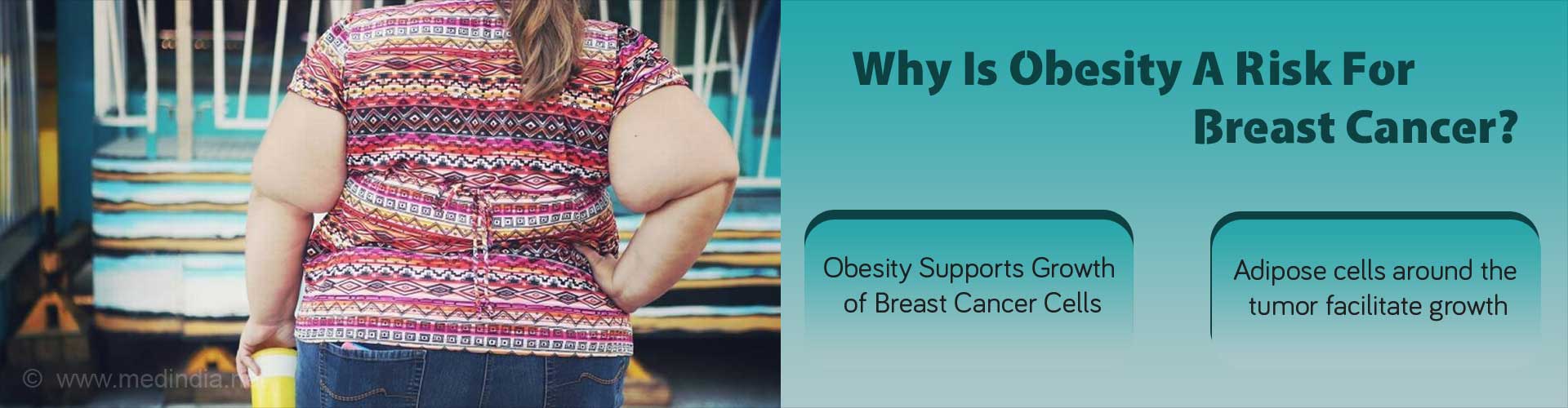 Obesity Influences Growth of Breast Cancer Cells