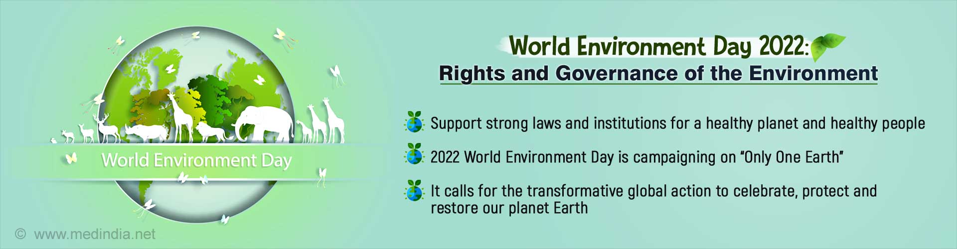 World Environment Day 2022: What Can We Do to Save Our Planet?