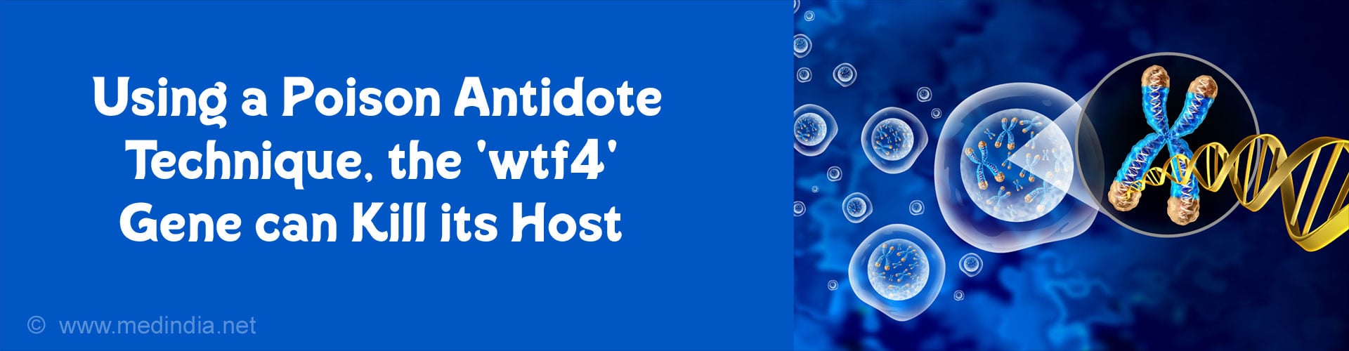 Carbohydrate-Restricted Diets for Type 2 Diabetic Patients