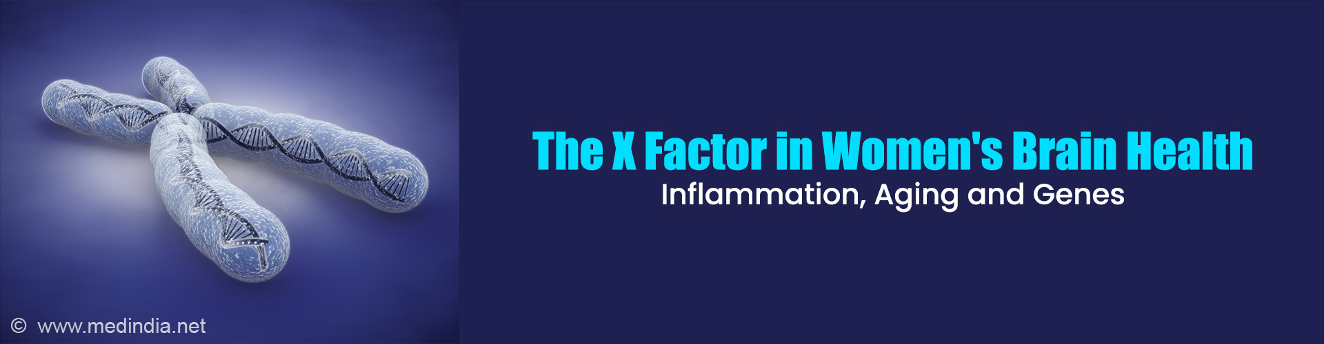 The X Factor Behind Women's Brains Aging Differently