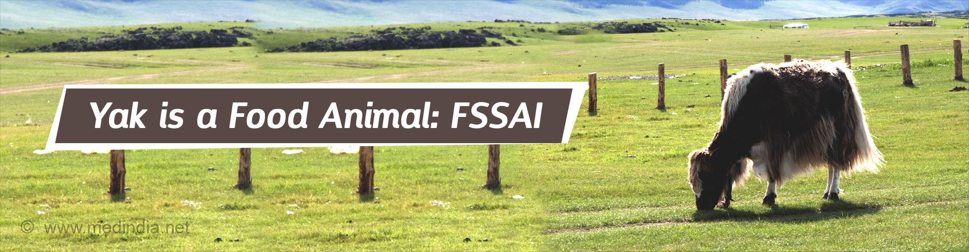 FSSAI Approves Himalayan Yak as a Food Animal