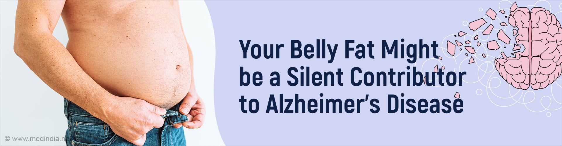 Belly Fat Affects Brain Health Leading to the Onset of Alzheimer's Disease