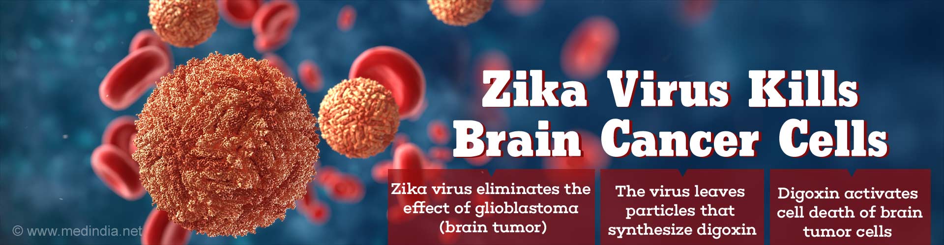 Zika Virus: The New Treatment For Brain Tumor
