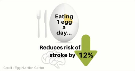 Daily Intake of Egg Reduces Stroke Risk by 12 Percent