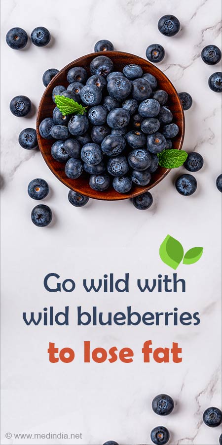 Wild Berries and benefits they bring