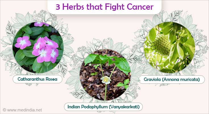 What Are The Most Effective Herbs To Prevent Cancer   3 Herbs That Fight Cancer 