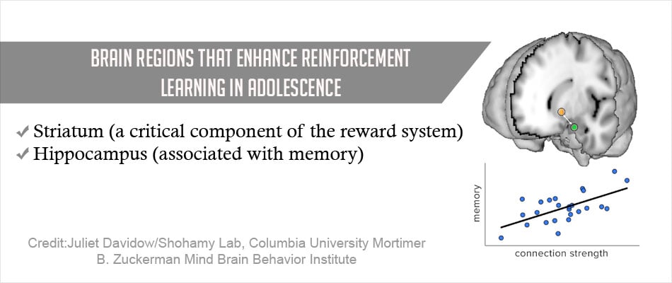 Two Brain Regions Are Associated With Learning Circuit In Adolescents