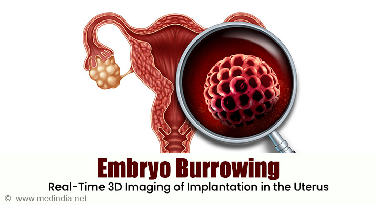 Embryo Burrowing