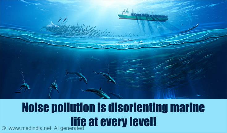 Noise Pollution Is Disorienting Marine Life Noise Pollution Is Disorienting Marine Life