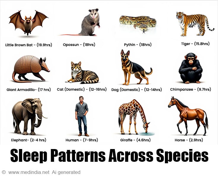 Sleep Across Species Sleep Across Species