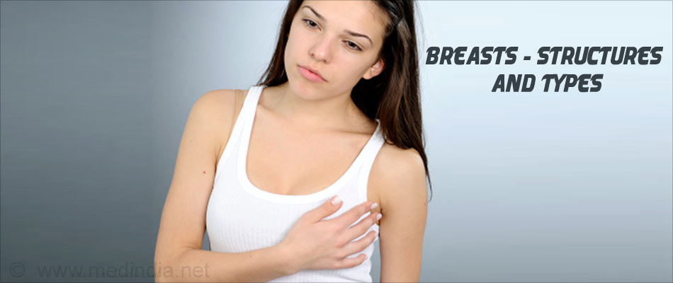 Breasts - Structures and Types Breasts - Structures and Types