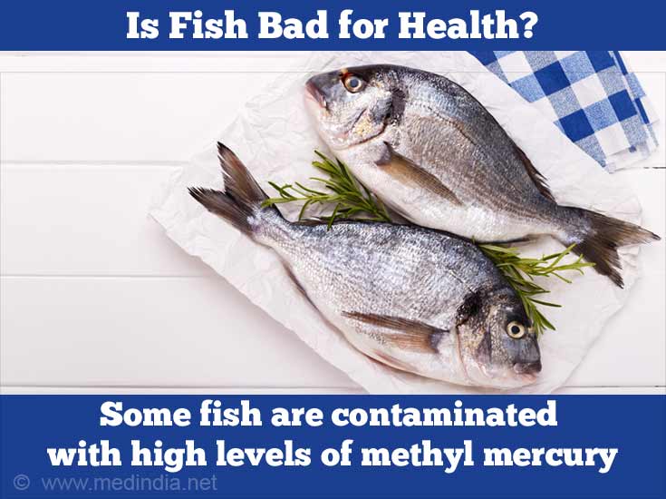 Fish: The Best and The Worst Fish: The Best and The Worst