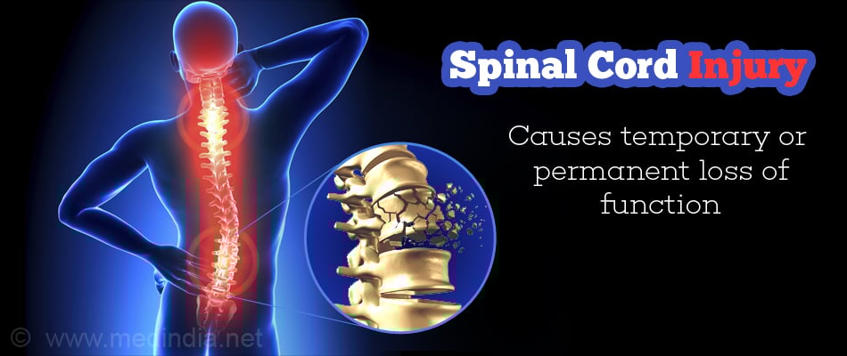 Spinal Cord Injury Spinal Cord Injury