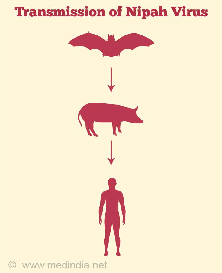 Transmission of Nipah Virus Transmission of Nipah Virus