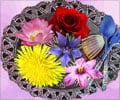 Edible Flowers for Health