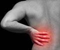 Back Pain Back Pain