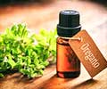 Health Benefits of Oregano