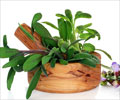 Benefits of Sage Leaves | Herbs and Health: Sage