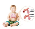Bronchiolitis - Causes, Symptoms, Diagnosis, Treatment, Prevention