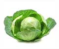 The Cabbage Diet - Why cabbage?