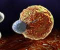 CAR T-Cell Therapy - Novel Form of Immunotherapy