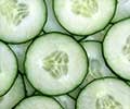 Cucumber Seeds: Nature's Hidden Gem with Multitude of Benefits