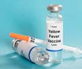 Dengue Vaccine - Types, Symptoms, Treatment & Prevention
