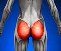 Dead Butt Syndrome? Strengthen Your Glutes Dead Butt Syndrome? Strengthen Your Glutes