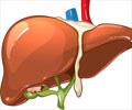 Gallbladder Cancer - Types, Causes, Symptoms, Diagnosis, Treatment, Prognosis