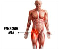Groin Pain - Symptom Evaluation Groin Pain - Symptom Evaluation
