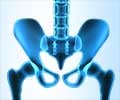 Pelvic Floor Health: Your Body''s Support