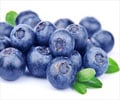 Health Benefits of Blueberries Health Benefits of Blueberries