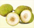 Health Benefits of Breadfruit Health Benefits of Breadfruit