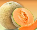 Cantaloupes | Muskmelon - The Healthy Fruit