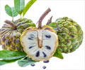 Health Benefits of Custard Apple