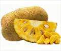 Health Benefits of Jackfruit Health Benefits of Jackfruit