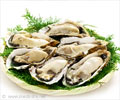 Health Benefits of Oysters