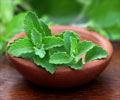 Health Benefits of Stevia