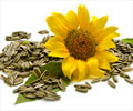 Top 5 Health Benefits of Sunflower Seeds