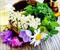Herbs that Reduce Anxiety and Depression Herbs that Reduce Anxiety and Depression
