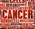 New Study Reveals 40% of US Cancer Cases Tied to Lifestyle Choices New Study Reveals 40% of US Cancer Cases Tied to Lifestyle Choices