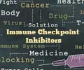 Immune Checkpoint Inhibitors for Cancer Treatment
