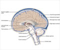 Intracranial Hypertension - Causes, Risk factors, Symptoms, Diagnosis & Treatment