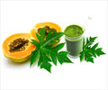 Papaya Leaves’ Juice to Increase Platelets in Dengue